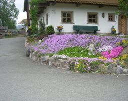 blumen vor dem Haus - kopija.JPG