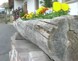 blumen vor dem Haus1 - kopija.JPG